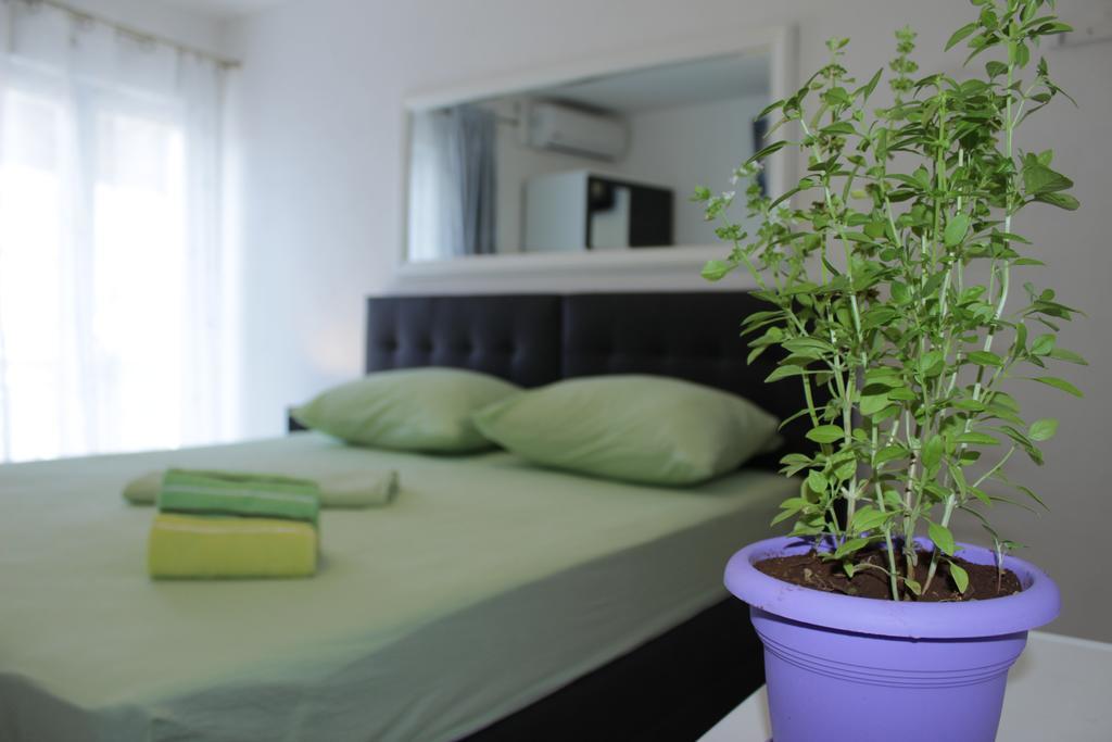 Guest House Put Neum Εξωτερικό φωτογραφία